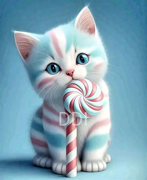 Lolly Cat #12
