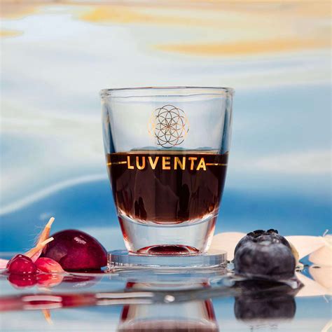 Luventa