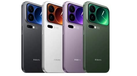 Malika Raspberry #17