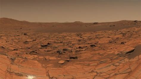 Mars Fox