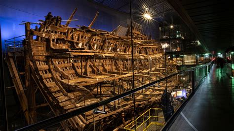 Mary Rose #9