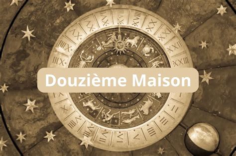 Maxine Maison #12