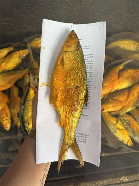 Kalygulina