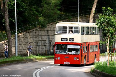 remarkableryann fapello