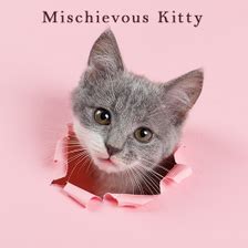 Mischievous Kitty