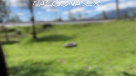 Nalgonasex