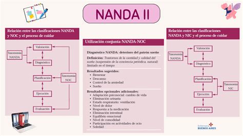 Nanda Hackenitz