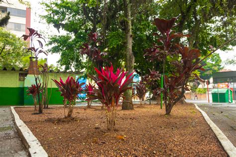 Nice Canoas #16