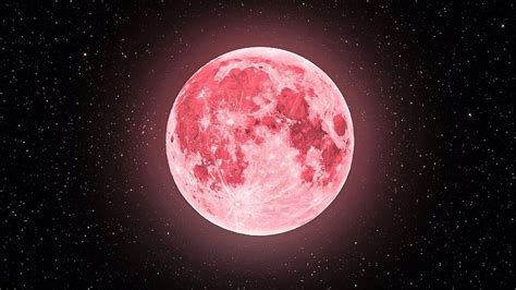 Rose Moon #12