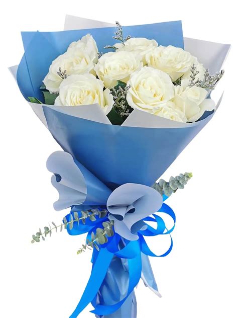 Rose White