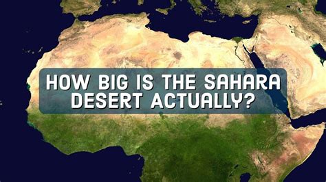 Sahara Dee