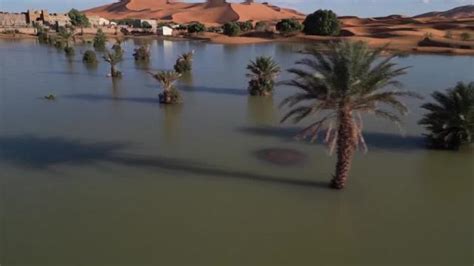 Sahara Rain