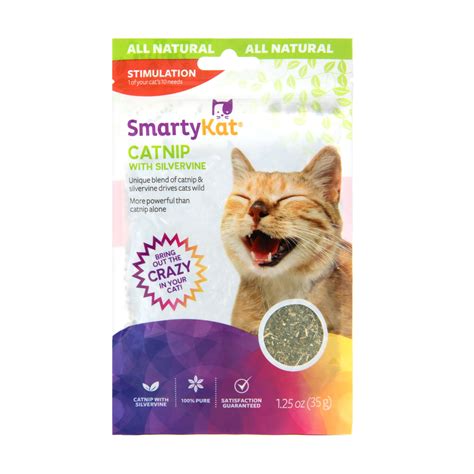 Smarty Kat #7