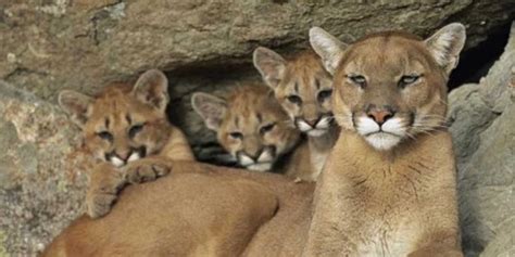 sofia rose onlyfans #8