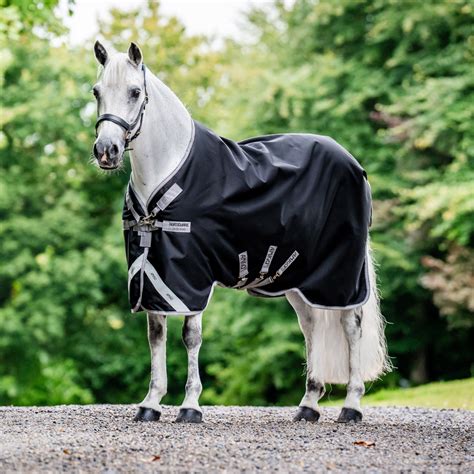 Sofia Trinidad Bravo