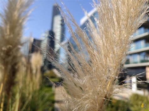 Passawan Chaowanavirat