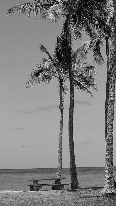 Stephany Chambert Montero