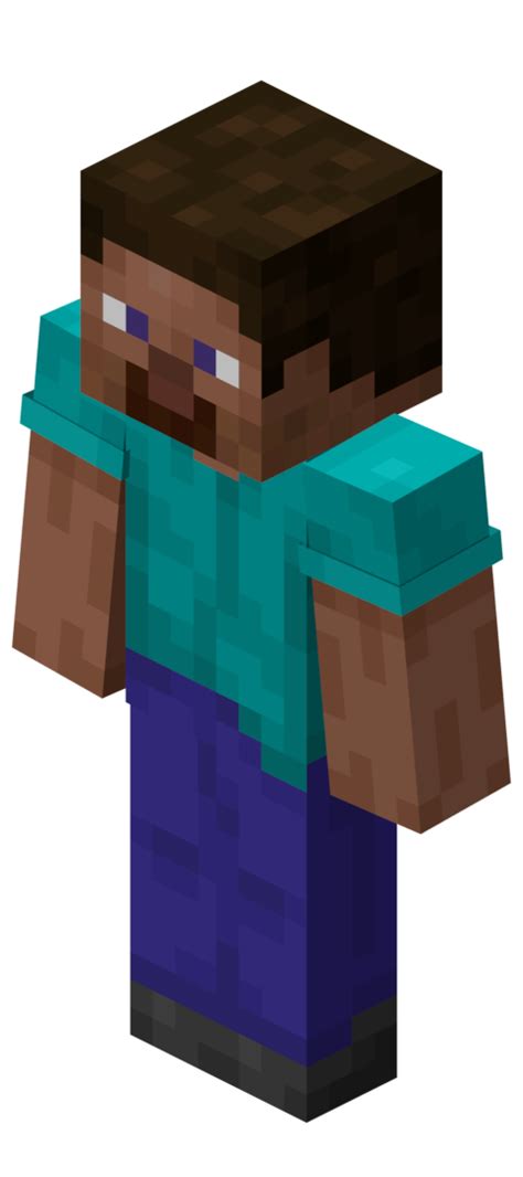 Steve