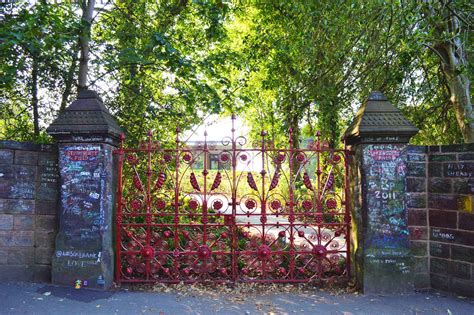 Strawberry Fields #19