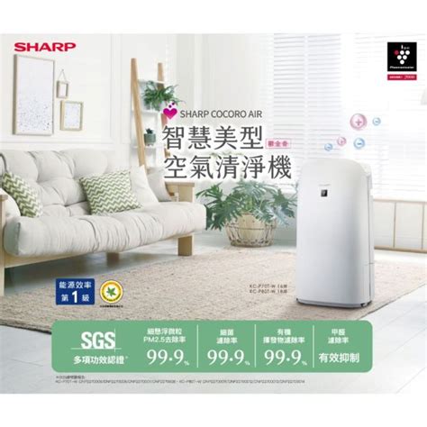 Summer Sharp #18