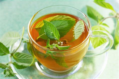 Tea Mint