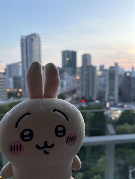 Usagi Minagi