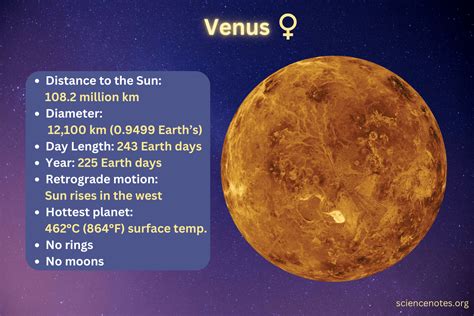 Venus #7