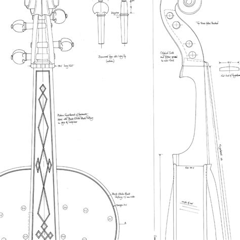 Viola (FerroNetwork)