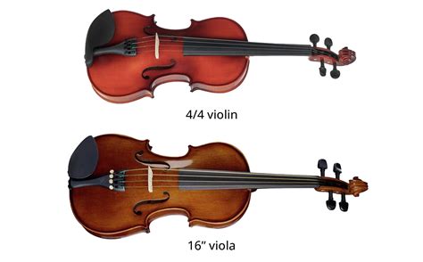 Viola (FerroNetwork)