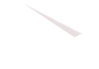 Courteney Jayne Taylor