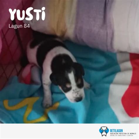Yusti