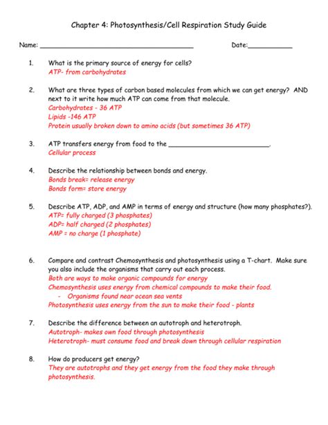 photosynthesis and cell respiration test answers Kindle Editon