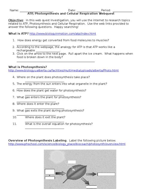 photosynthesis and cellular respiration webquest answers Epub
