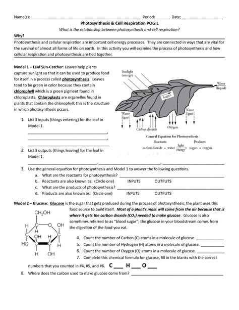 photosynthesis and respiration pogil answers Doc