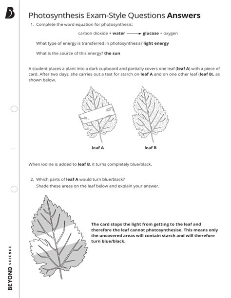 photosynthesis test questions answers Doc