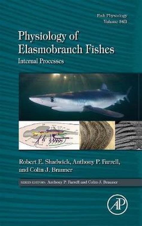 physiology elasmobranch fishes internal processes PDF