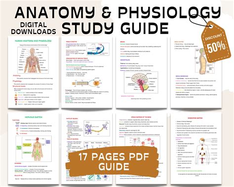 physiology study guide grade 12 Kindle Editon