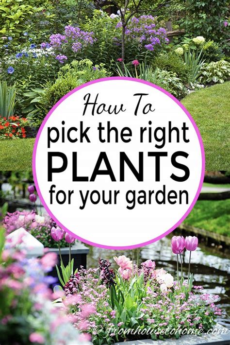 pick the right plant Epub