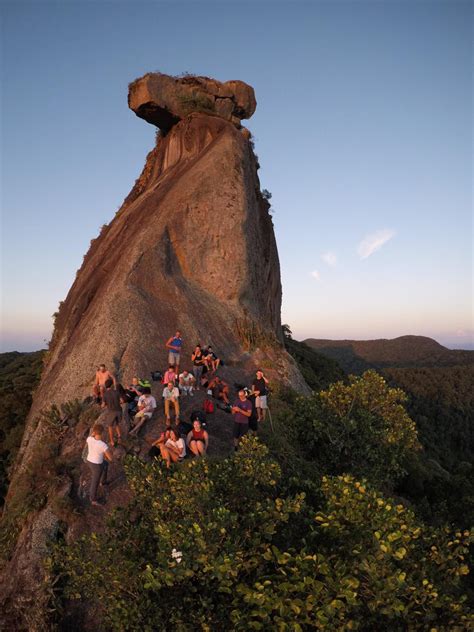 pico do papagaio ilha grande