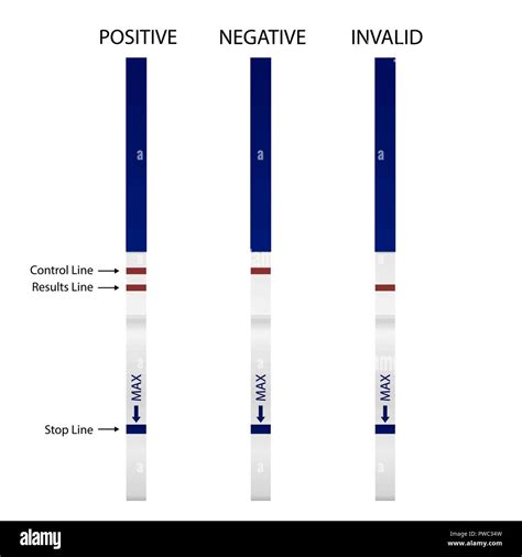 pictures of negative pregnancy test strips