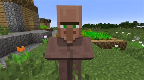 pictures of villagers