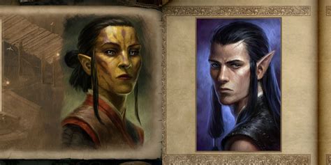 pillars eternity companions