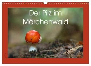 pilz m rchenwald wandkalender 2016 quer Kindle Editon