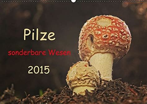 pilze sonderbare wesen 2016 tischkalender Kindle Editon