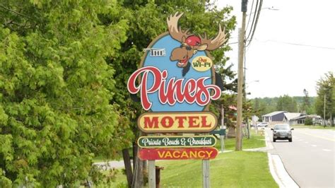 pines motel inc