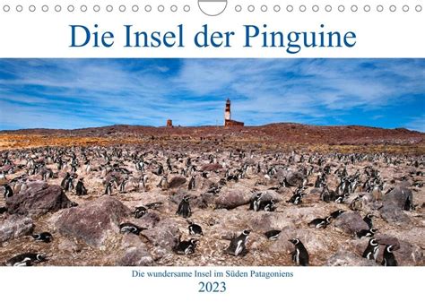 pinguine s den patagoniens wandkalender 2016 PDF