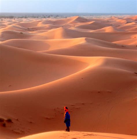 pioniers in de woestijn de ontsluiting van de sahara Reader