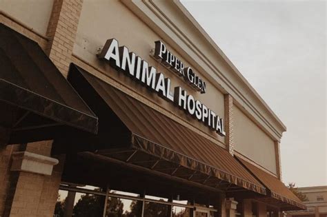 piper glen animal hospital charlotte