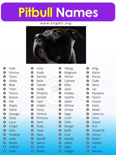 pit bull dog names male