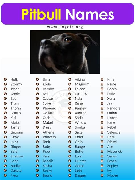 pitbull dog names male puppies